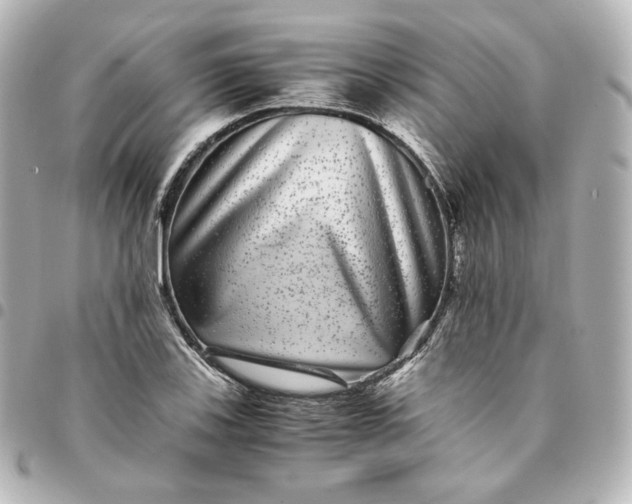 X0000095541123200712281538