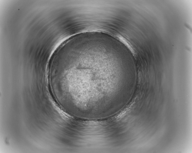 X0000095541124200712281538