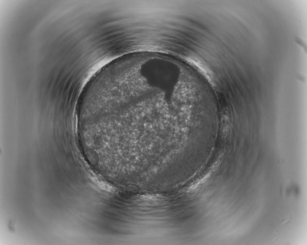 X0000095541125200712281538