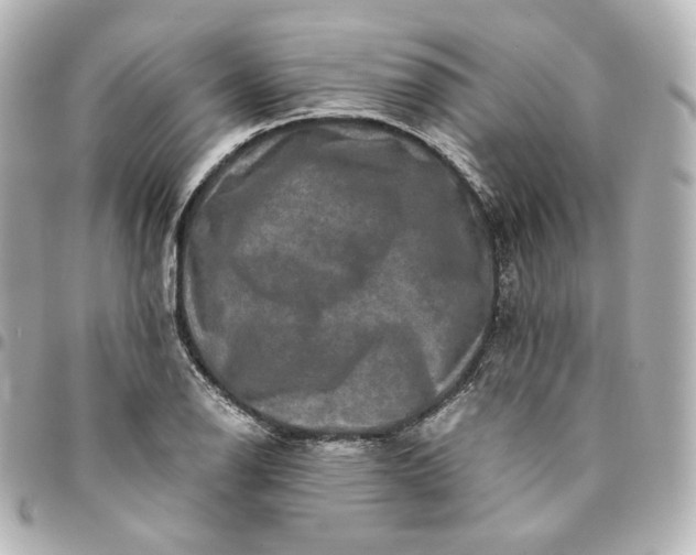 X0000095541126200712281538