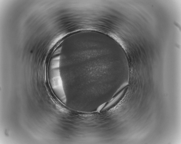 X0000095541127200712281538