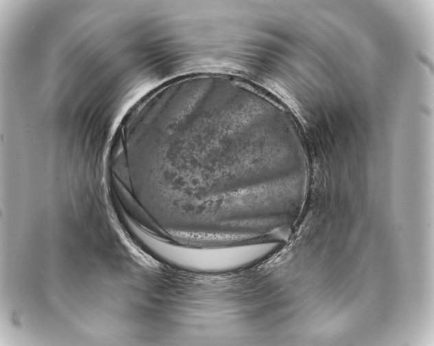 X0000095541128200712281538