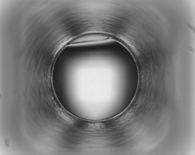 X0000095541129200712281538