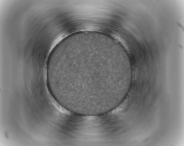 X0000095541130200712281538