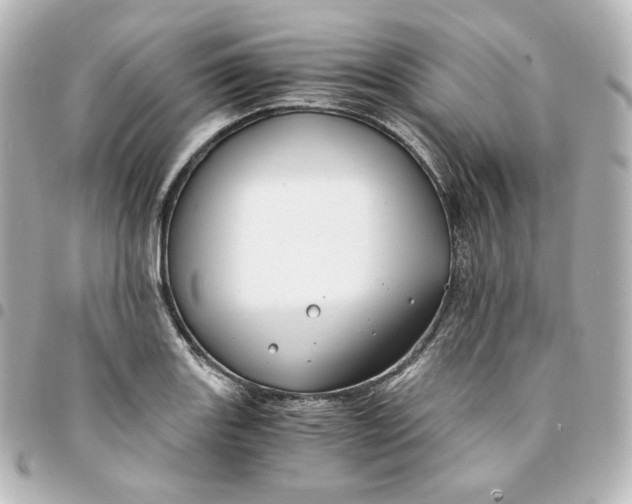 X0000095541131200712281538