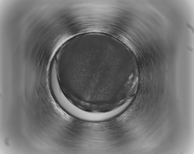 X0000095541132200712281538