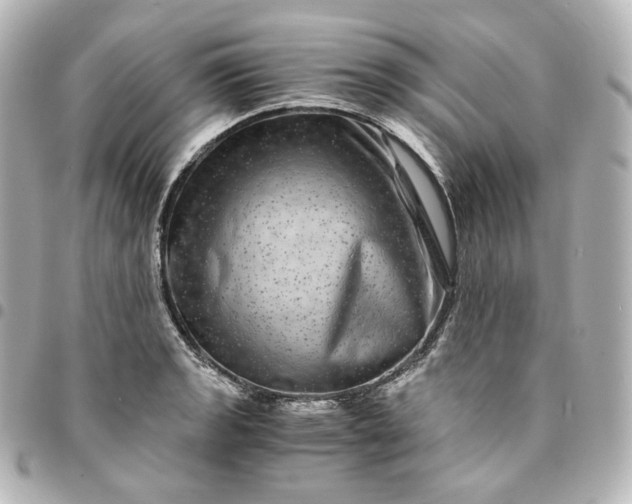 X0000095541133200712281538