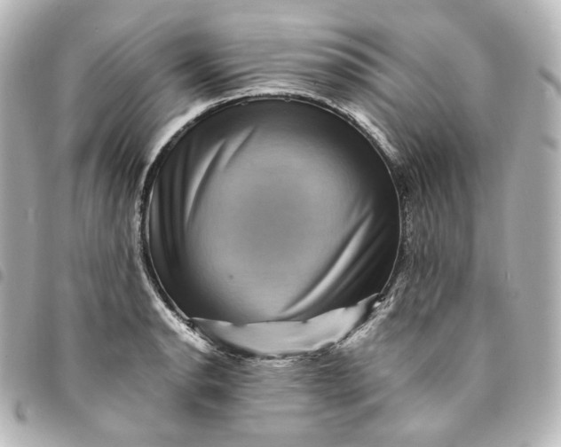 X0000095541134200712281538