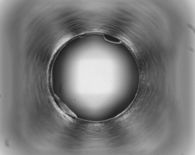 X0000095541135200712281538