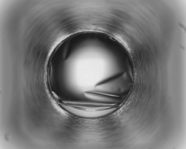 X0000095541136200712281538