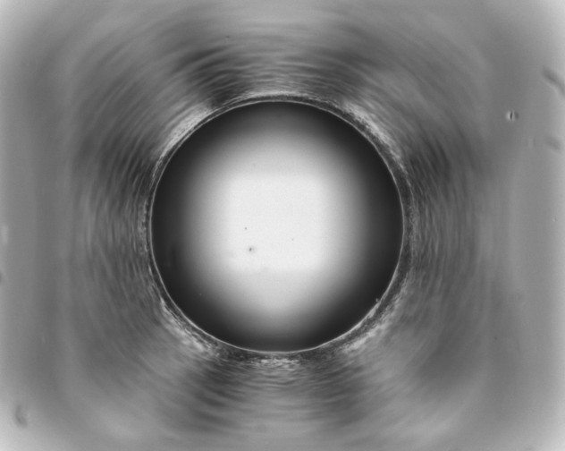 X0000095541137200712281538