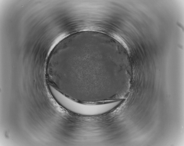 X0000095541138200712281538