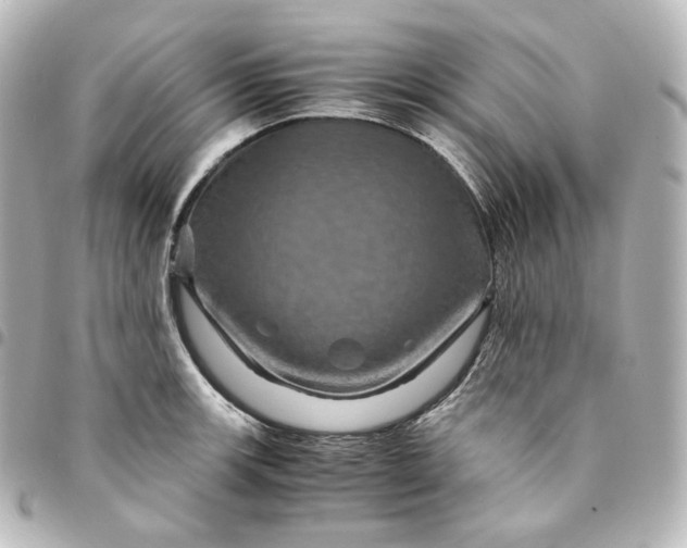 X0000095541139200712281538