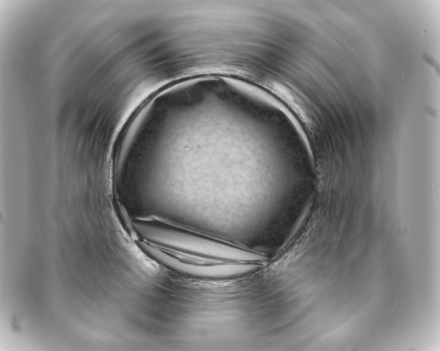 X0000095541140200712281538