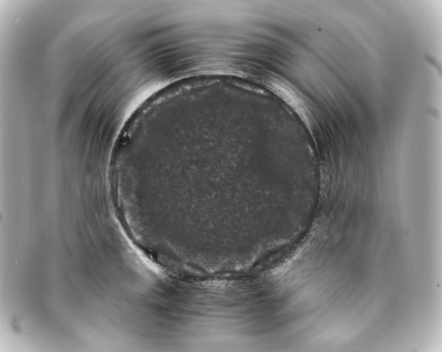 X0000095541141200712281538