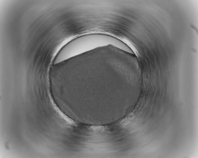 X0000095541142200712281538