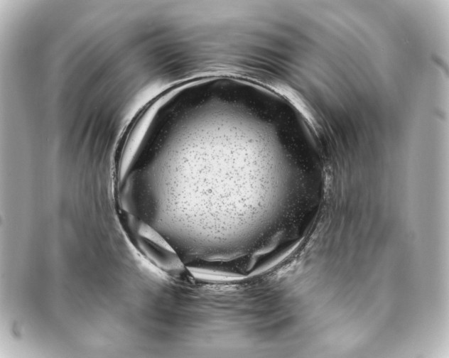 X0000095541143200712281538