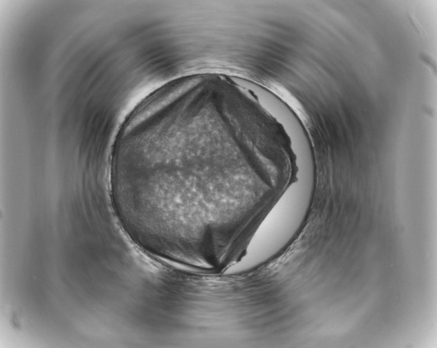 X0000095541144200712281538