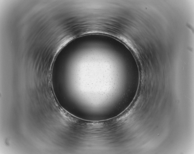 X0000095541145200712281538