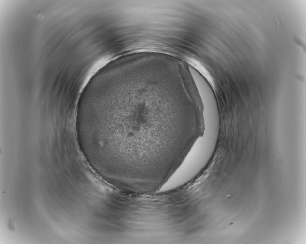 X0000095541146200712281538