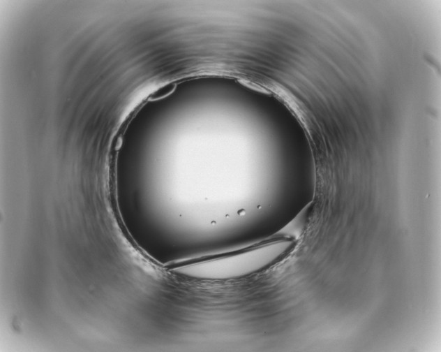 X0000095541147200712281538