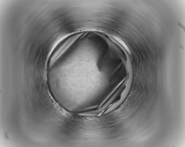 X0000095541148200712281538