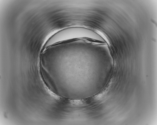 X0000095541149200712281538