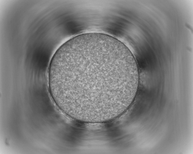 X0000095541150200712281538