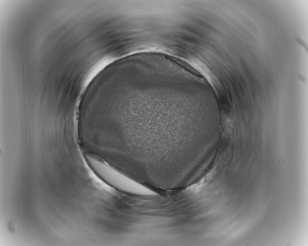 X0000095541151200712281538