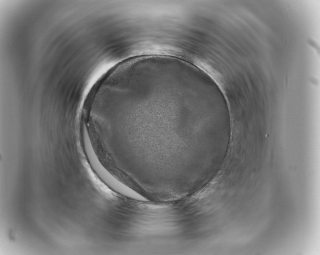 X0000095541152200712281538