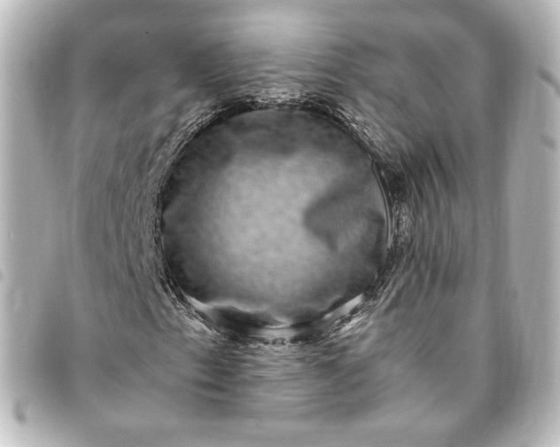 X0000095541153200712281537