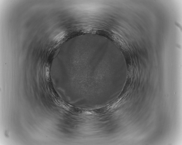 X0000095541154200712281537