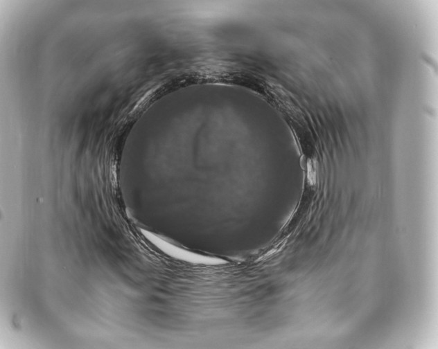 X0000095541155200712281537