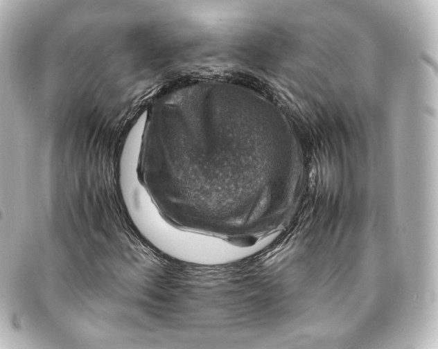 X0000095541156200712281537