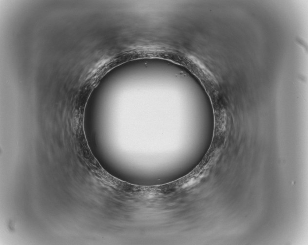 X0000095541157200712281537