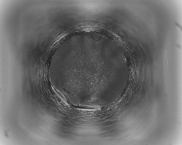 X0000095541158200712281537