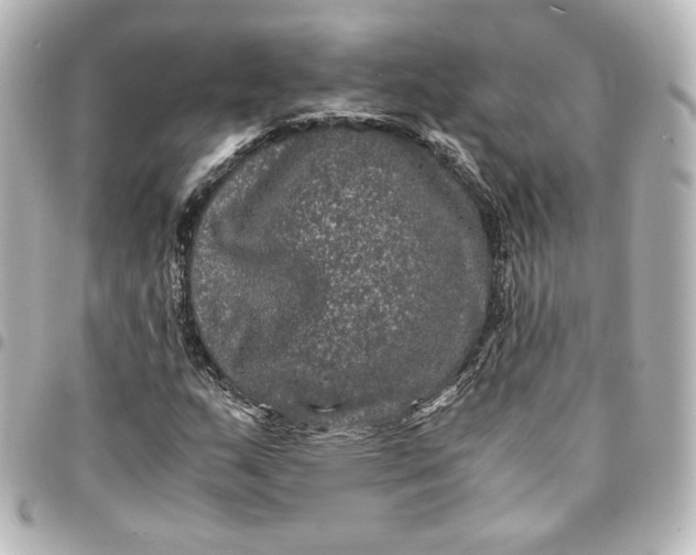 X0000095541159200712281537