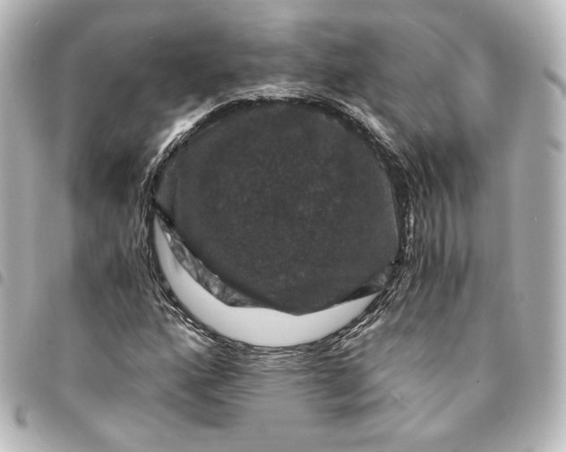 X0000095541160200712281537