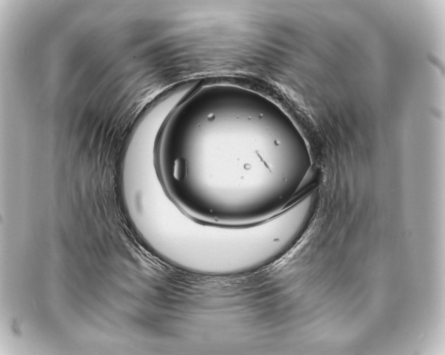 X0000095541161200712281537