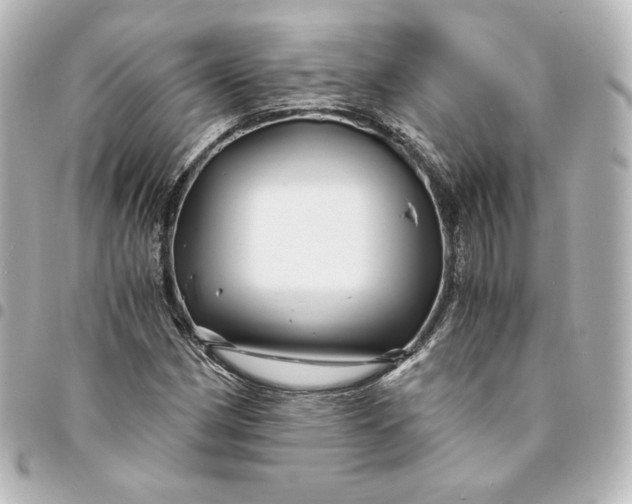 X0000095541162200712281537