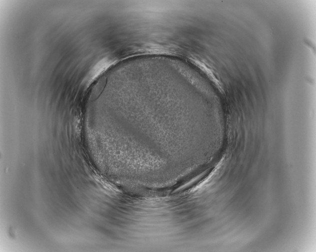 X0000095541163200712281537