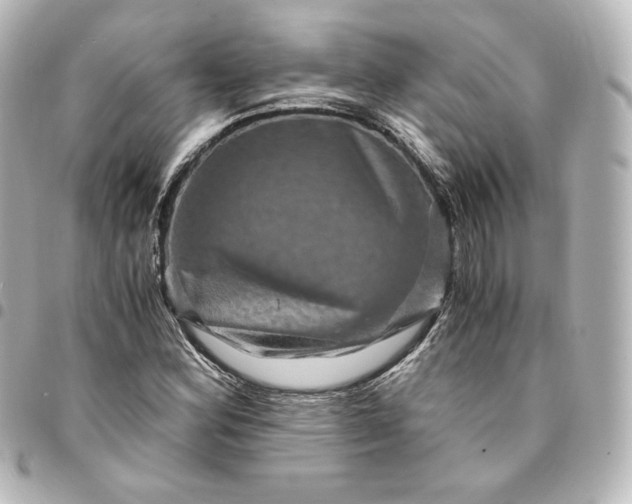 X0000095541164200712281537