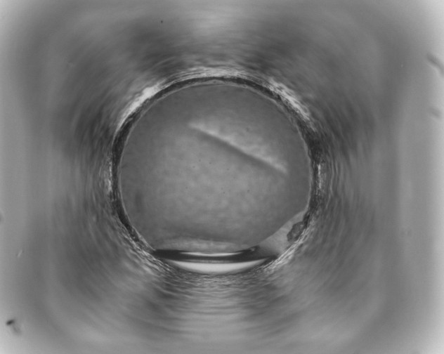 X0000095541165200712281537