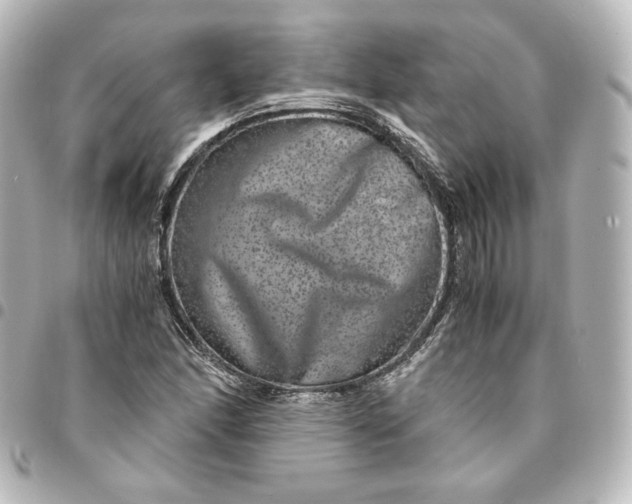 X0000095541166200712281537