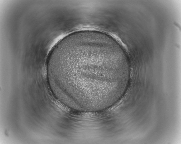 X0000095541167200712281537