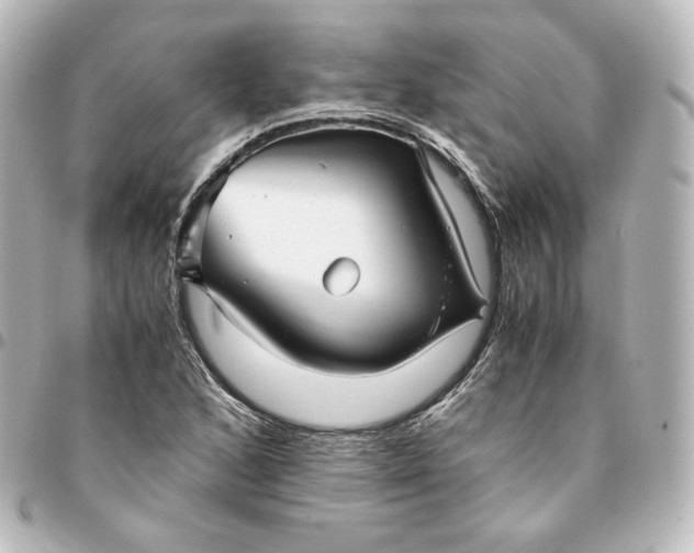 X0000095541168200712281537