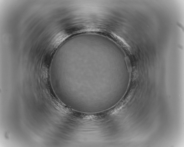 X0000095541169200712281537