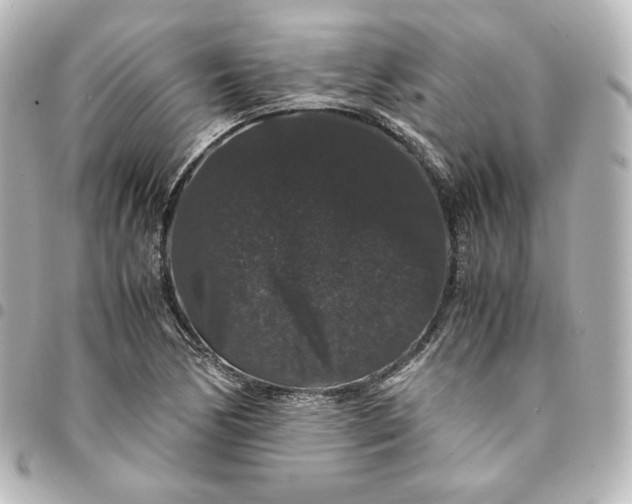 X0000095541170200712281537