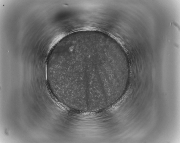 X0000095541171200712281537