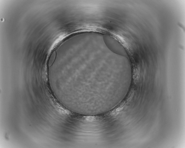 X0000095541172200712281537